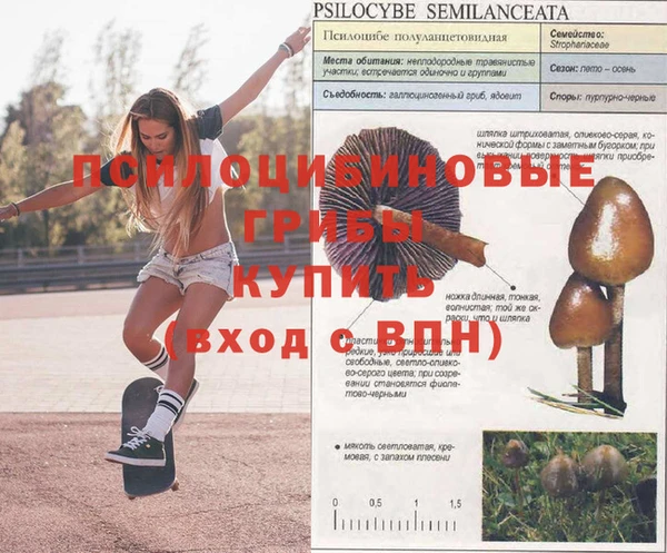 МДМА Бородино