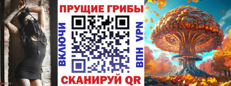Псилоцибиновые грибы ЛСД  mega ТОР  Ачхой-Мартан 